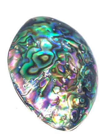 Pendentif abalone naturel